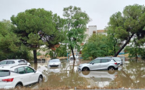 La Junta contabiliza casi 1.300 incidencias en Andalucía por las lluvias y avisa de la llegada de un «tren de borrascas» | europapress.es