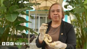 La única doctora especializada en veneno de serpientes en uno de los países con más víboras del mundo