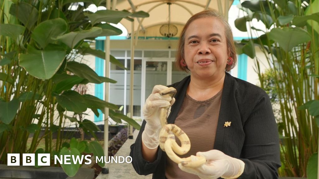 La única doctora especializada en veneno de serpientes en uno de los países con más víboras del mundo