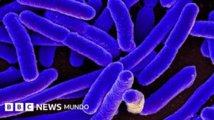 Las sorprendentes y variadas formas en las que la nociva bacteria E. coli ha contribuido al avance de la ciencia