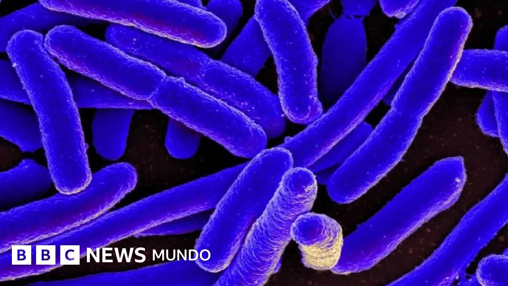 Las sorprendentes y variadas formas en las que la nociva bacteria E. coli ha contribuido al avance de la ciencia