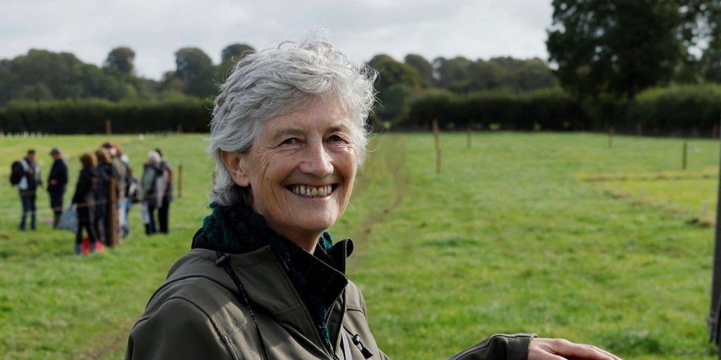 Los primeros recuentos sitúan a la abanderada de la izquierda Catherine Connolly como presidenta de Irlanda