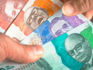 Que no le pase: claves para identificar billetes falsos | Finanzas | Economía