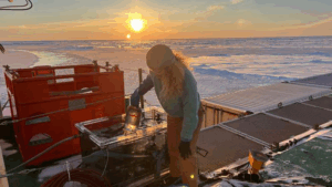 Revelan un proceso biológico oculto bajo el hielo del Ártico que podría cambiar el futuro del océano