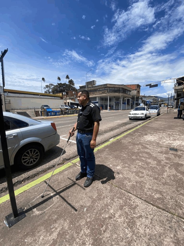Un reto para las personas con discapacidad el ir y venir por la Quinta Avenida – Diario La Nación