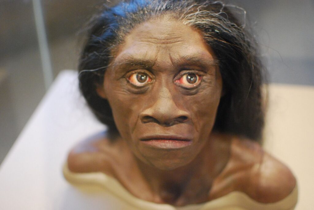 ¿Existió un ser humano del tamaño de un hobbit? Conoce al Homo floresiensis | National Geographic