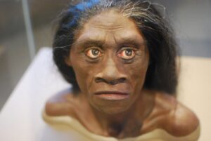 ¿Existió un ser humano del tamaño de un hobbit? Conoce al Homo floresiensis | National Geographic