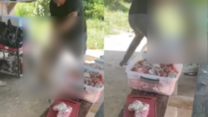 Alcalde de Sonsón (Antioquia) afirmó que el hombre que causó la muerte de un perrito se entregará a las autoridades: ‘Que se haga justicia’