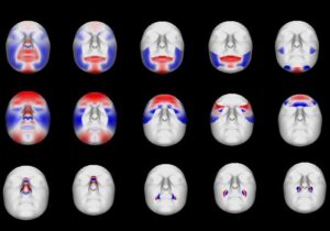Asocian marcadores en el ADN con rasgos faciales de la población