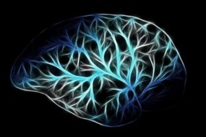 Bioelectricidad: la clave oculta de la vida que podría revolucionar la medicina y la biotecnología