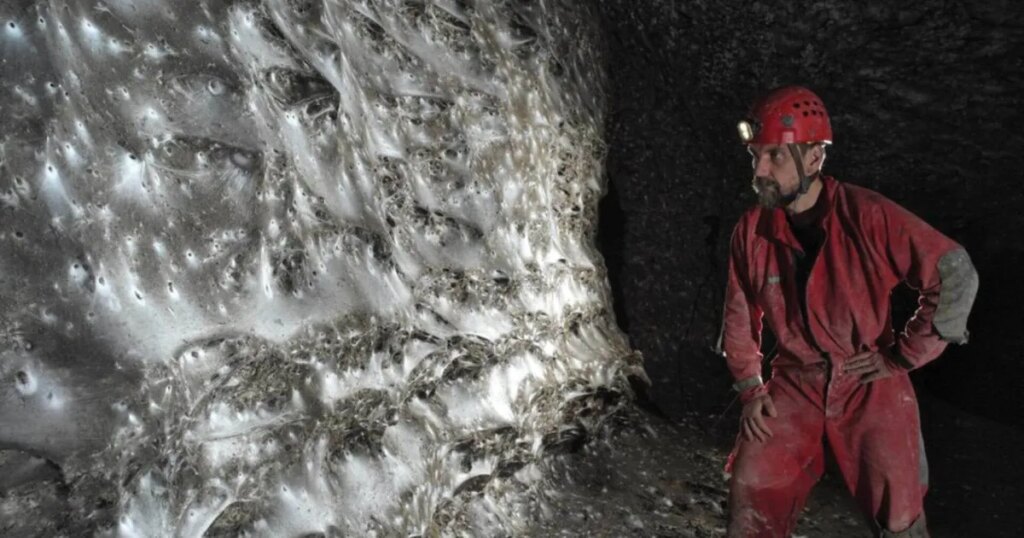 Científicos descubren una telaraña de 106 metros cuadrados habitada por 110.000 arañas cooperativas