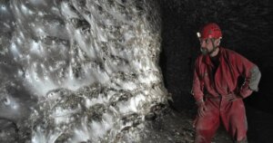 Científicos descubren una telaraña de 106 metros cuadrados habitada por 110.000 arañas cooperativas