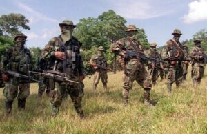 Colombia abate a 28 guerrilleros en una semana en bombardeos ordenados por Petro – AlbertoNews