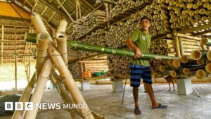 Cómo el bambú, usado durante milenios en Sudamérica, está revolucionando la construcción antisísmica