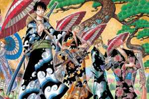 Cómo un problema de traducción nos privó de conocer muchos años antes uno de los conceptos más importantes de One Piece