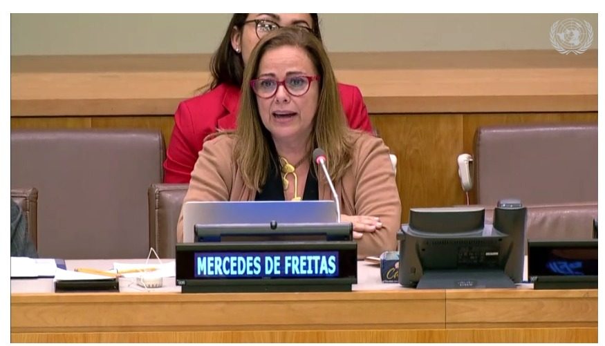 Mercedes de Freitas corrupción