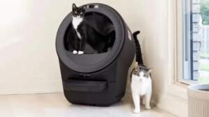Cuidar a las mascotas con IA ya es posible gracias a este arenero inteligente para gatos que además se limpia solo