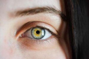 De las cavernas al cosmos: la evolución de las capacidades visoespaciales en el ser humano