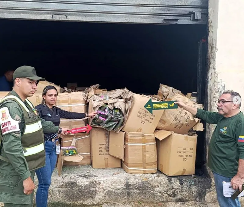 Decomisan más de 74 mil paquetes de musgo en Carabobo