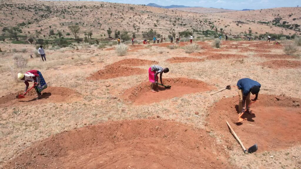 Degradación del suelo agrícola afecta a 1700 millones de personas : IPS Agencia de Noticias