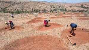 Degradación del suelo agrícola afecta a 1700 millones de personas : IPS Agencia de Noticias