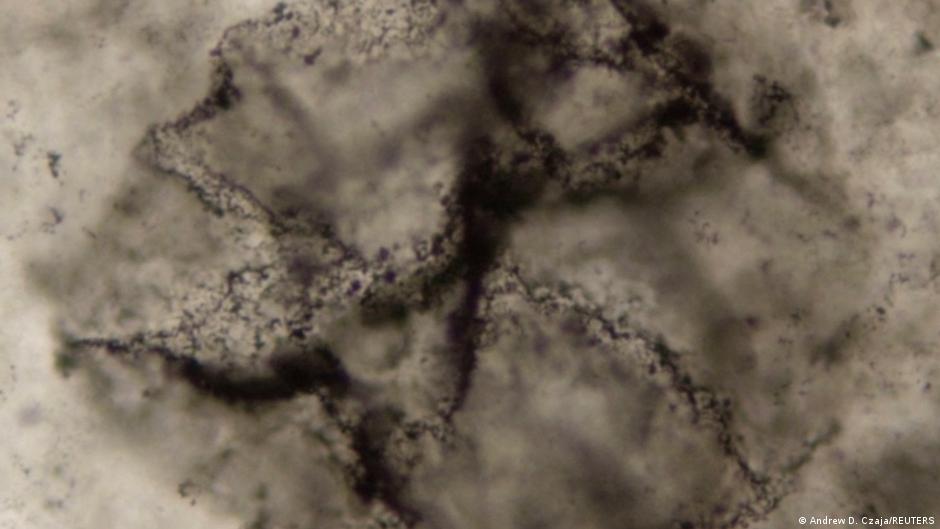 Detectan señales de vida en rocas de 3.300 millones de años – DW – 18/11/2025