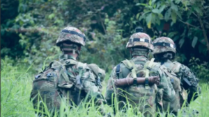 Dos soldados del Ejército Nacional fueron secuestrados en La Macarena, Meta, durante una operación militar de acompañamiento al CTI de la Fiscalía