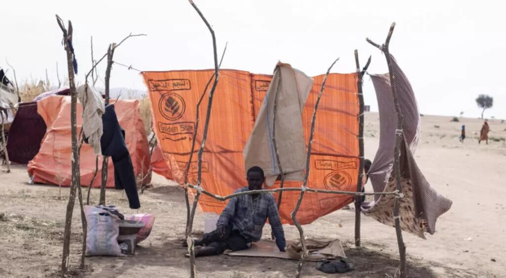 El Consejo de Derechos Humanos de la ONU ordena investigar los abusos en El Fasher, Sudán - AlbertoNews