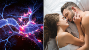 El momento exacto en que su cerebro se ‘engancha’ tras una relación sexual