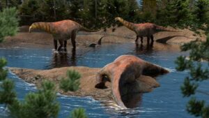 Especie de dinosaurio saurópodo, desconocida hasta ahora, de hace 95 millones de años