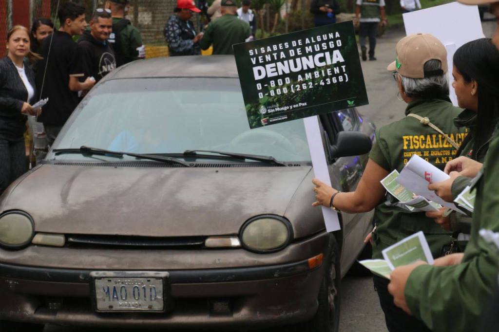 Evitarán extracción y comercialización del musgo en bosques y páramos