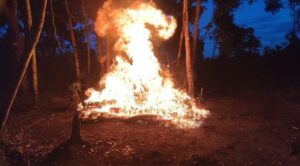 FANB destruye estructura de minería ilegal en Amazonas