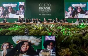 Fortalecimiento de territorios indígenas es clave para resolver deforestación en la Amazonia : IPS Agencia de Noticias