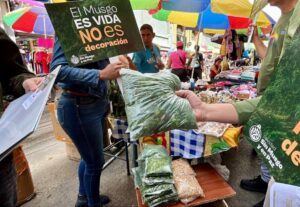 Gobierno Nacional ratifica prohibición de venta de musgo