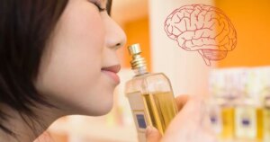 La ciencia explica por primera vez cómo el cerebro distingue entre lo que huele y lo que sentimos al oler