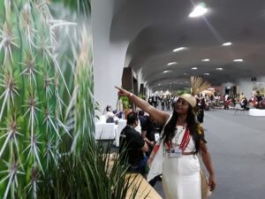 La encrucijada de la COP30: ¿acelerar la implementación o hacer más promesas? : IPS Agencia de Noticias