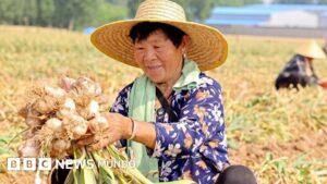 La fascinante historia del ajo (y cuáles son sus propiedades medicinales)