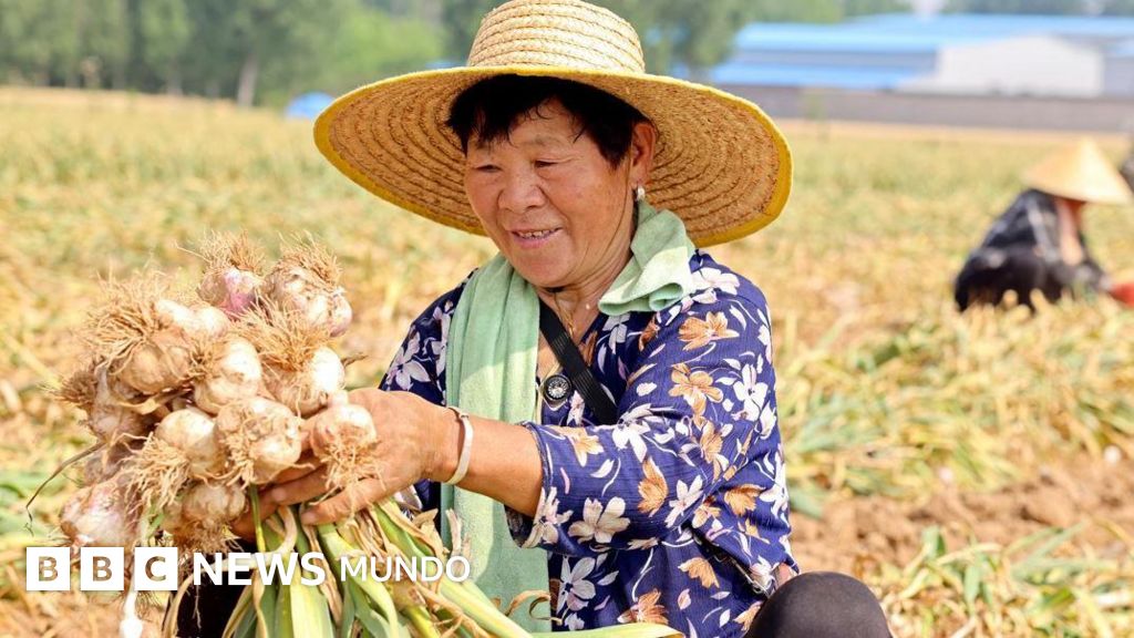 La fascinante historia del ajo (y cuáles son sus propiedades medicinales)