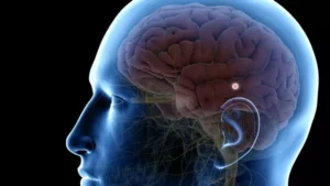 La melatonina - Diario La Verdad de Vargas