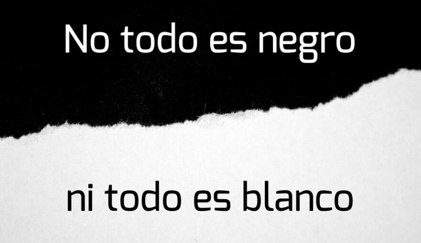 La política no funciona en blanco y negro, sino en gris