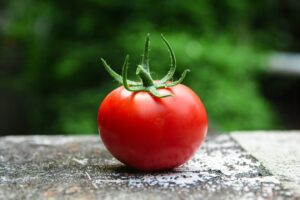 Los tomates de las Galápagos están ‘evolucionando al revés’. Y eso es una noticia espectacular