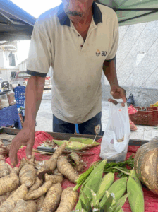 Nueva feria de verduras y frutas en el Paseo de Macuto