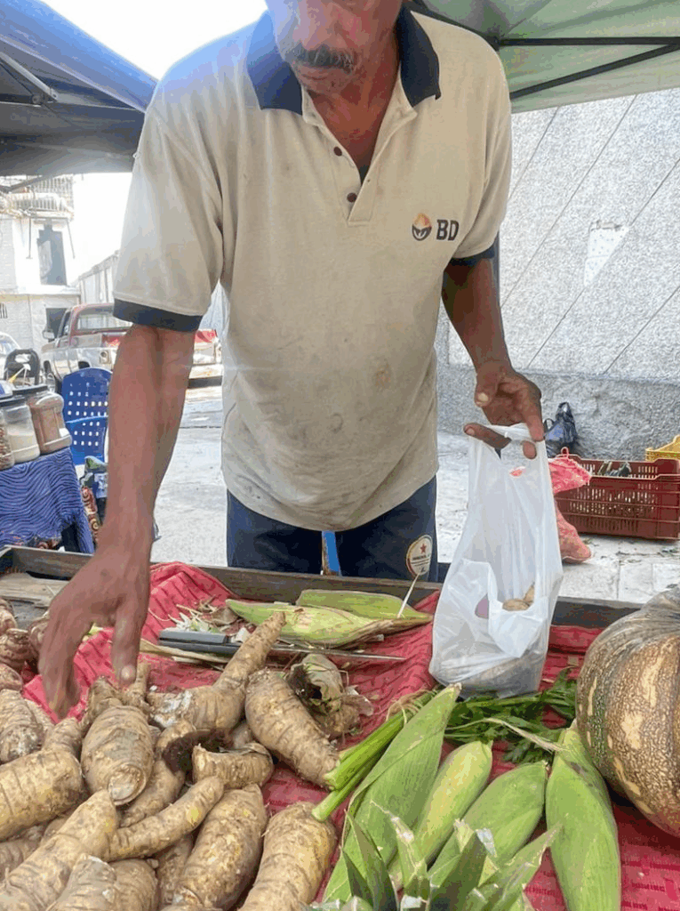 Nueva feria de verduras y frutas en el Paseo de Macuto