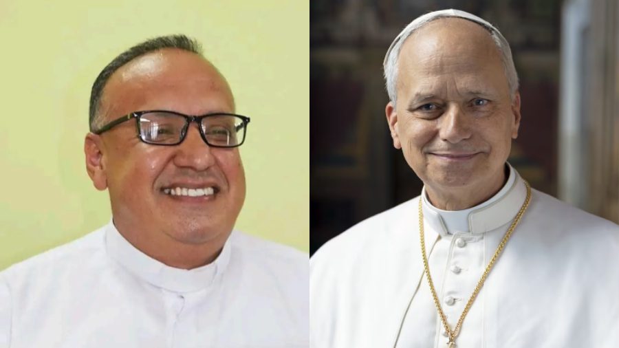 Papa León XIV designa nuevo obispo para San Fernando de Apure