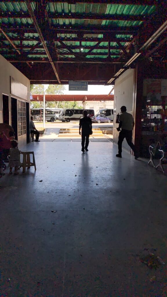 Poca expectativa en el terminal de la frontera por temporada decembrina – Diario La Nación