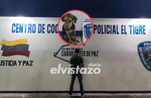 Polianzoátegui detuvo a un hombre en la Av. Libertador norte por maltratar a un perro e impregnarlo con gasoil