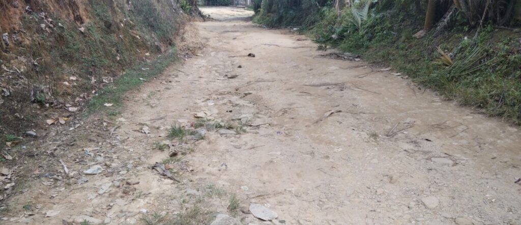 Productores agrícolas pierden sus cosechas por pésimas vías