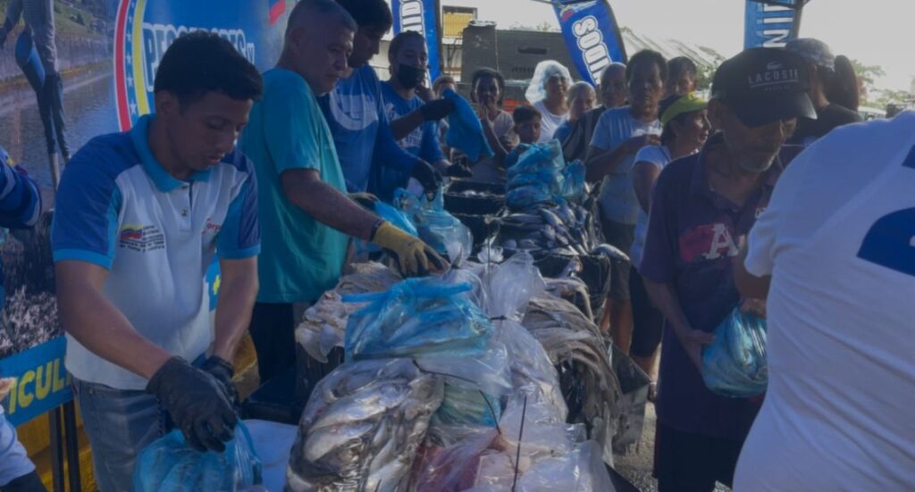 Reparten pescado gratis en La Jungla