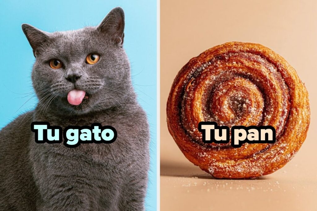 Sé que suena raro pero, puedo adivinar tu pan dulce favorito solo con tu selección de gatitos