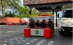 Transportaban droga oculta en fresas y los arrestan en Táchira